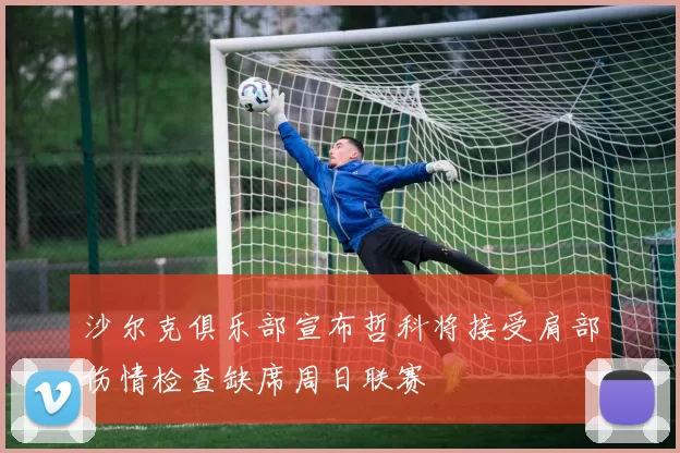 沙尔克俱乐部宣布哲科将接受肩部伤情检查缺席周日联赛