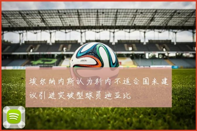 埃尔纳内斯认为科内不适合国米建议引进突破型球员迪亚比